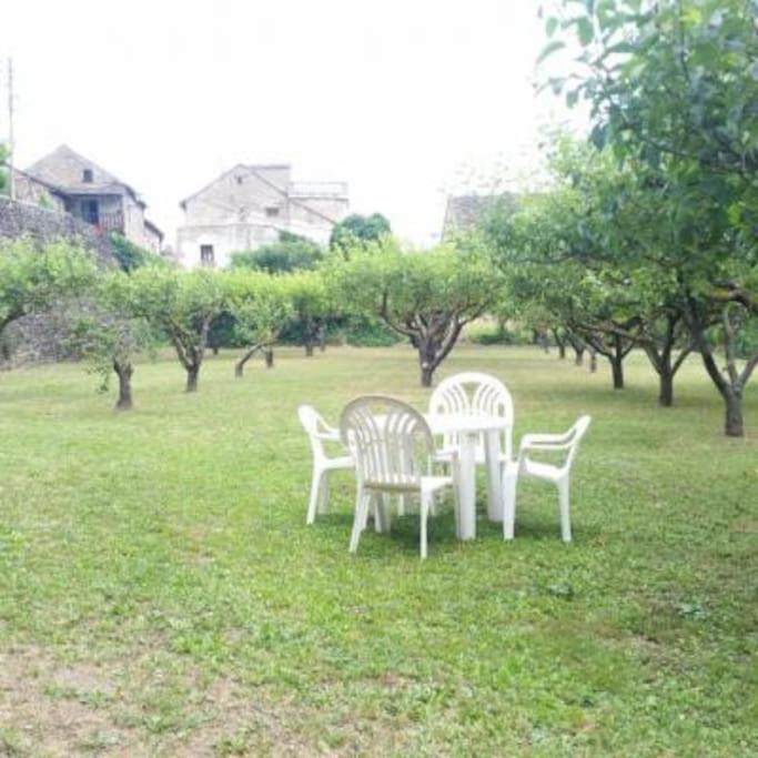 Casa Rural Barangua En El Pirineo Aragones Santa Cruz de la Serós Zewnętrze zdjęcie